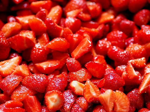 selbstgeerntete Erdbeeren vom Feld
