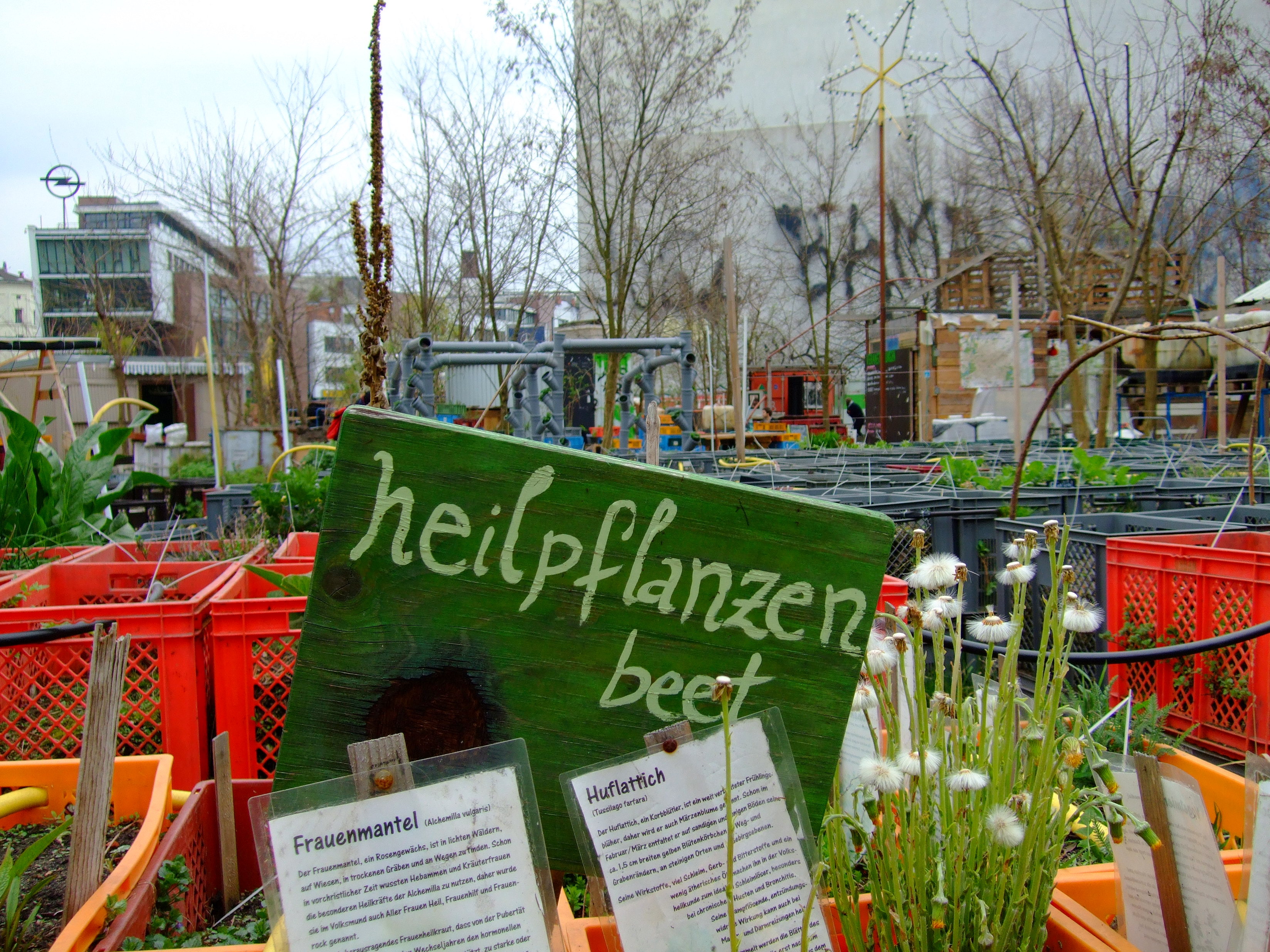 Urban Gardening Berlin: Prinzessinnengarten