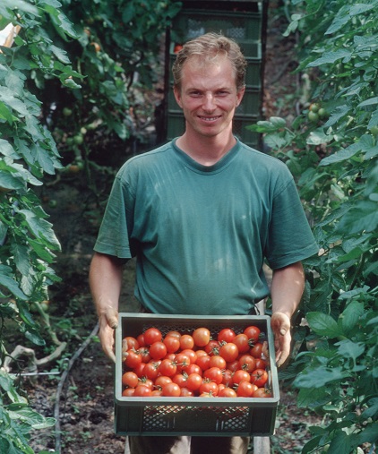 Zukunftsvision: Bio-Tomaten aus Solidarischer Landwirtschaft