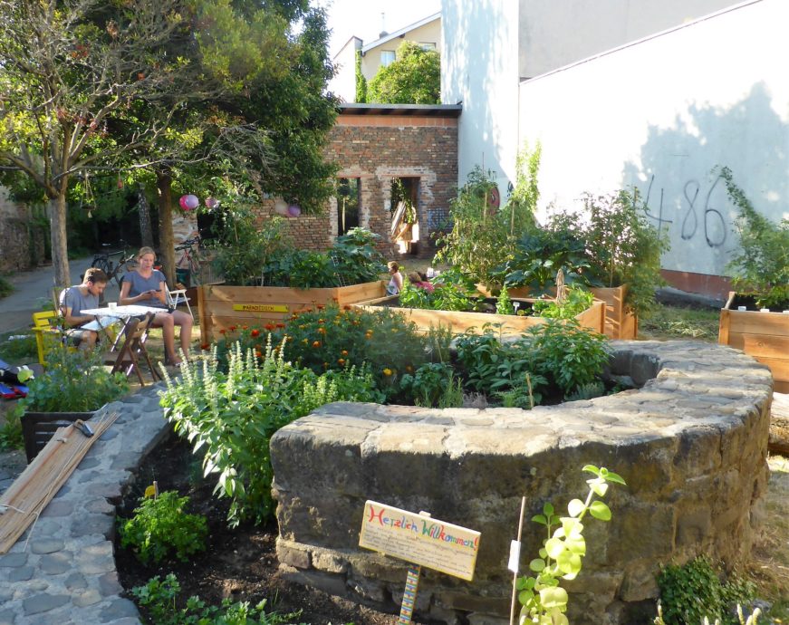 In Bockenheim wächst ein neuer Garten Frankfurter Beete