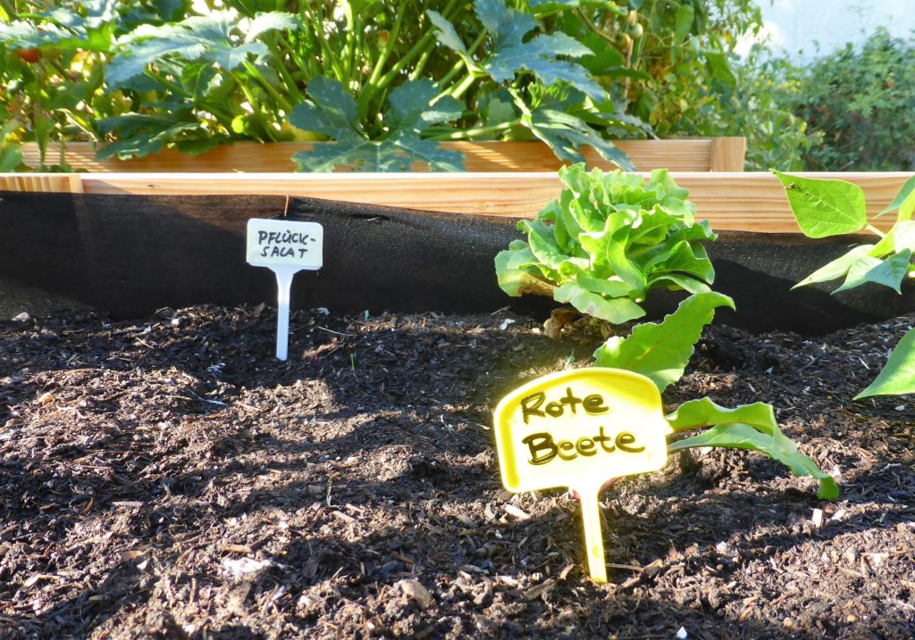 In Bockenheim wächst ein neuer Garten Frankfurter Beete